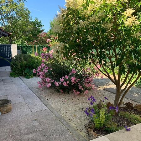Petite maison près du centre LʼIsle-sur-la-Sorgue Extérieur photo